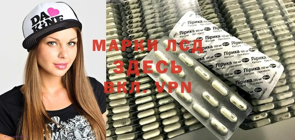 спайс Баксан