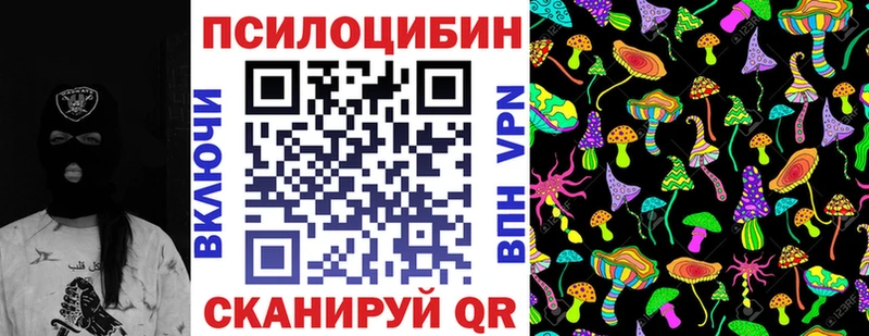 где купить   гидра маркетплейс  Псилоцибиновые грибы Cubensis  Козловка 